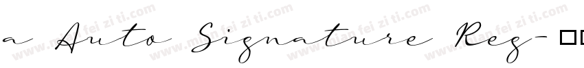 a Auto Signature Reg字体转换